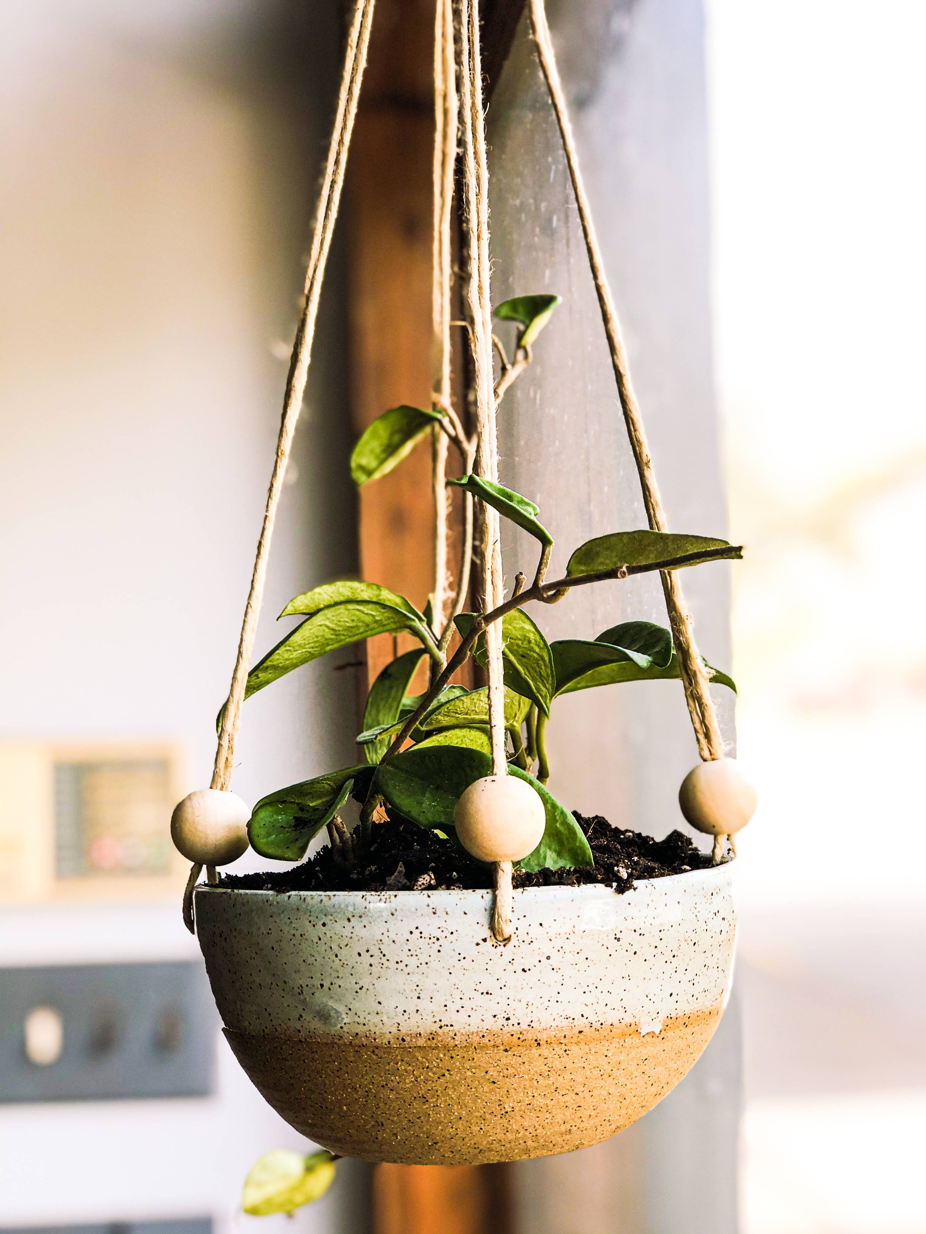 hanging house plant holder Hanging Planter